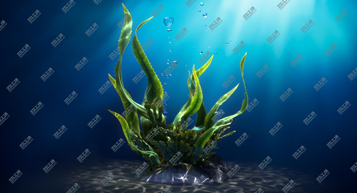 images/goods_img/20210313/Seaweed Animated/1.jpg
